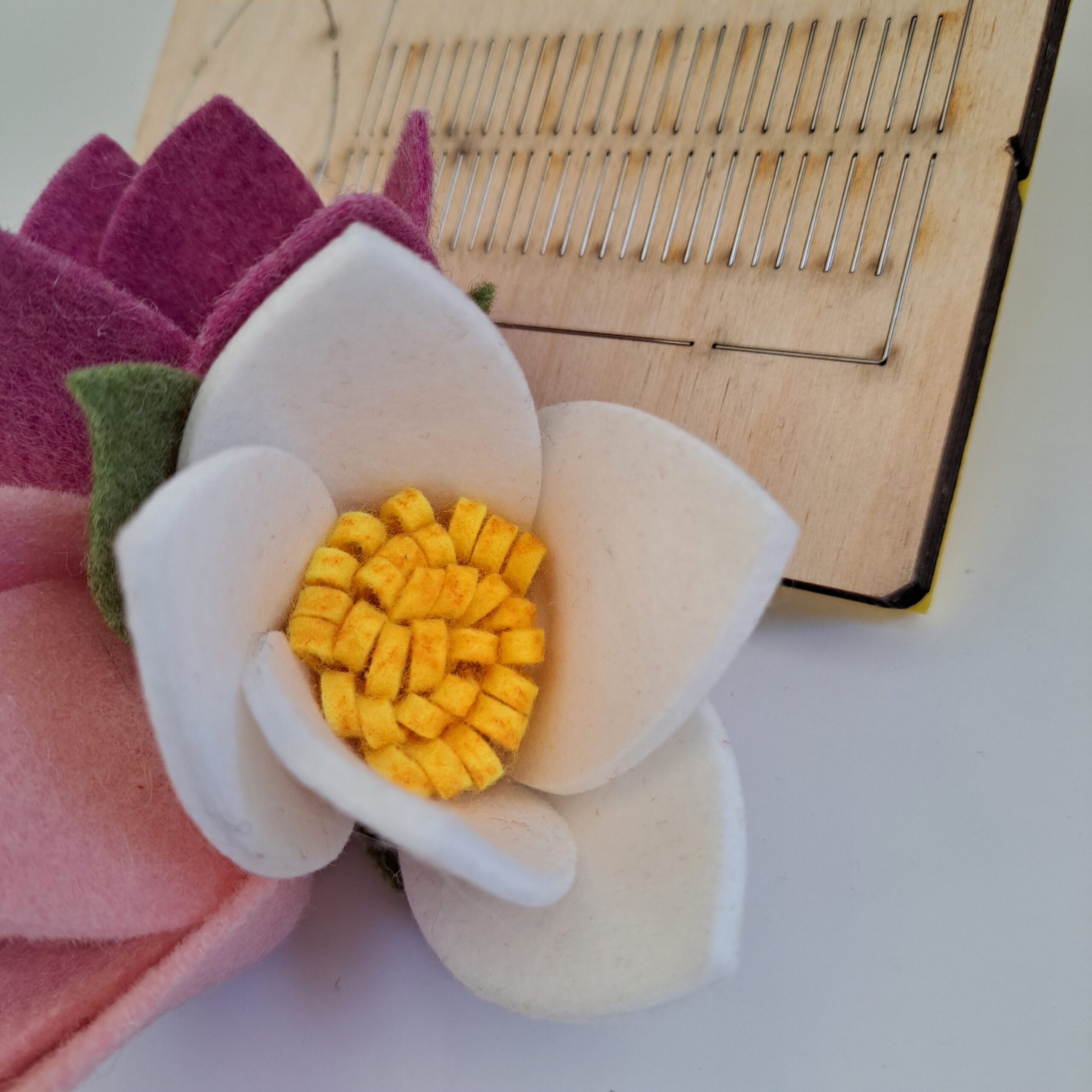 MAGNOLIA E GIRASOLE - immagine 5