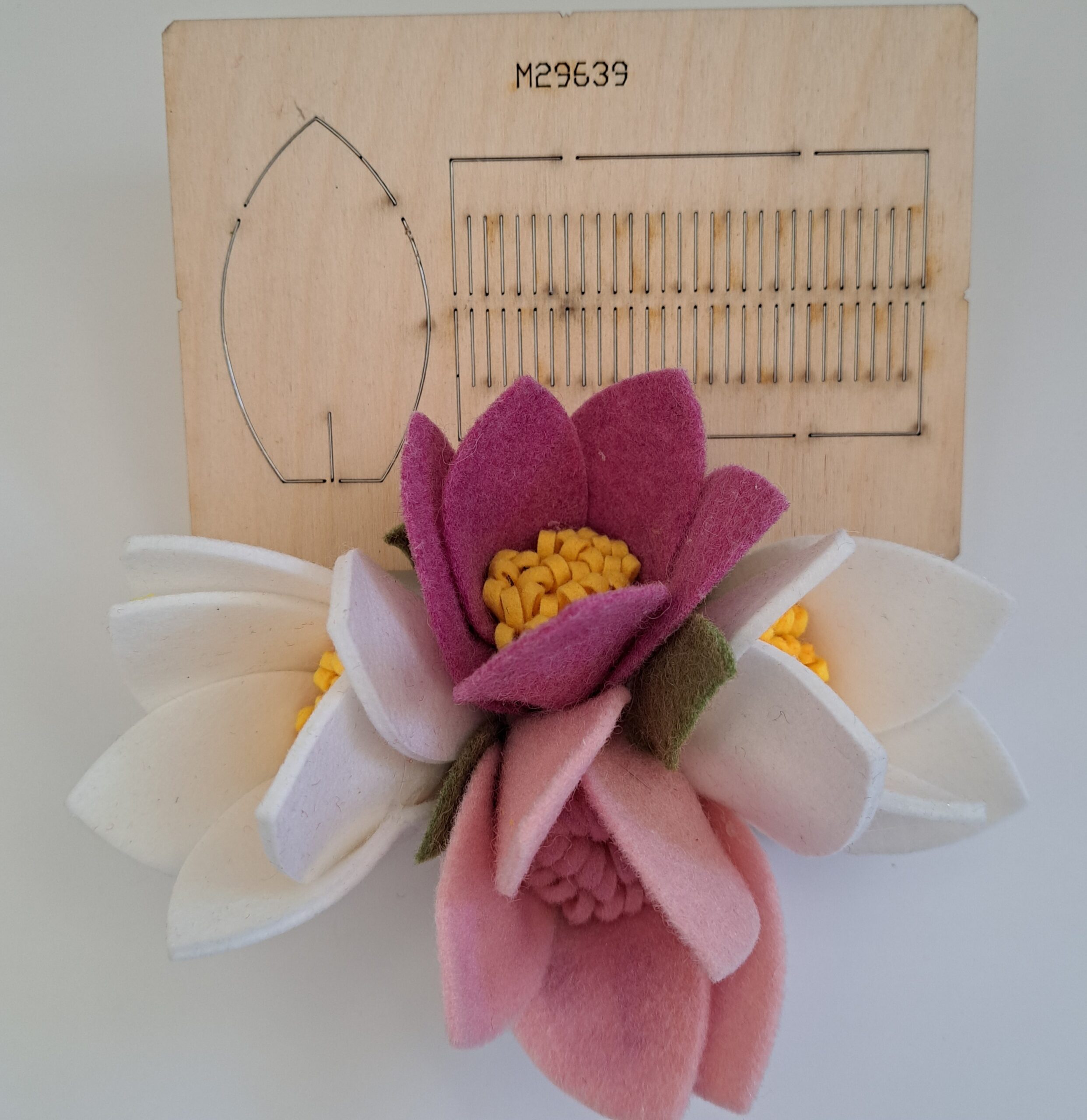 MAGNOLIA E GIRASOLE - immagine 4