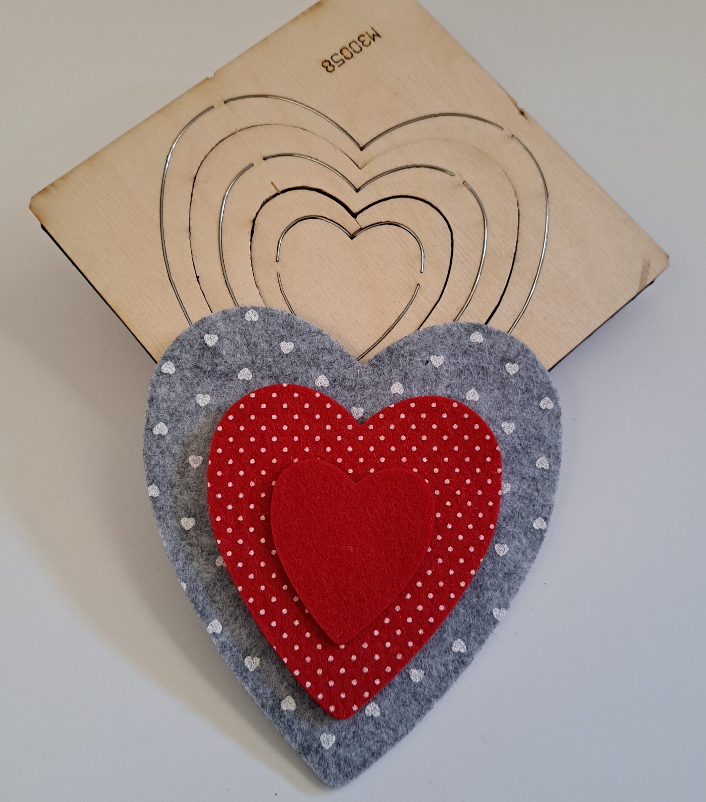 CUORI CONCENTRICI - immagine 4