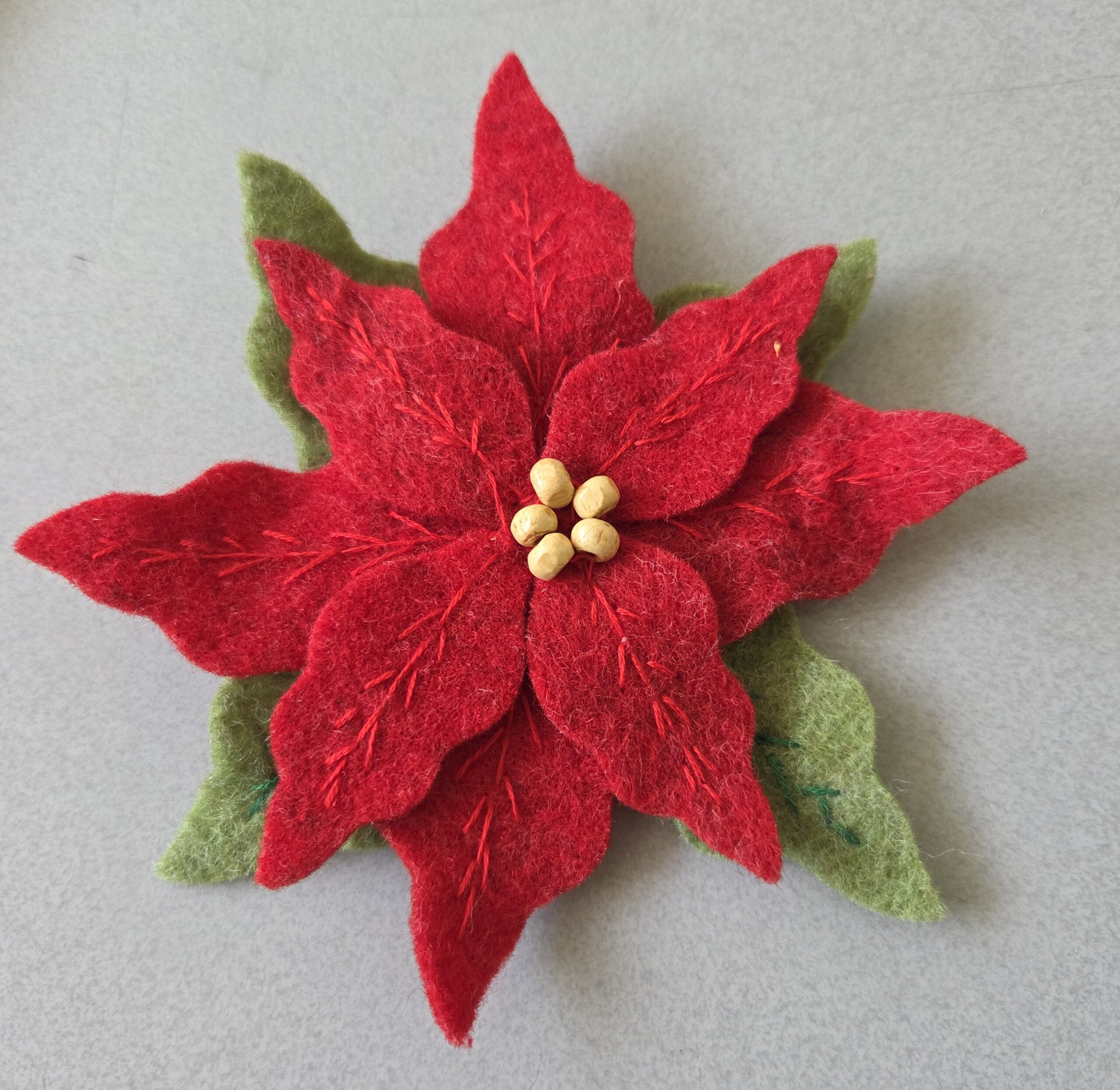 STELLA DI NATALE - immagine 7