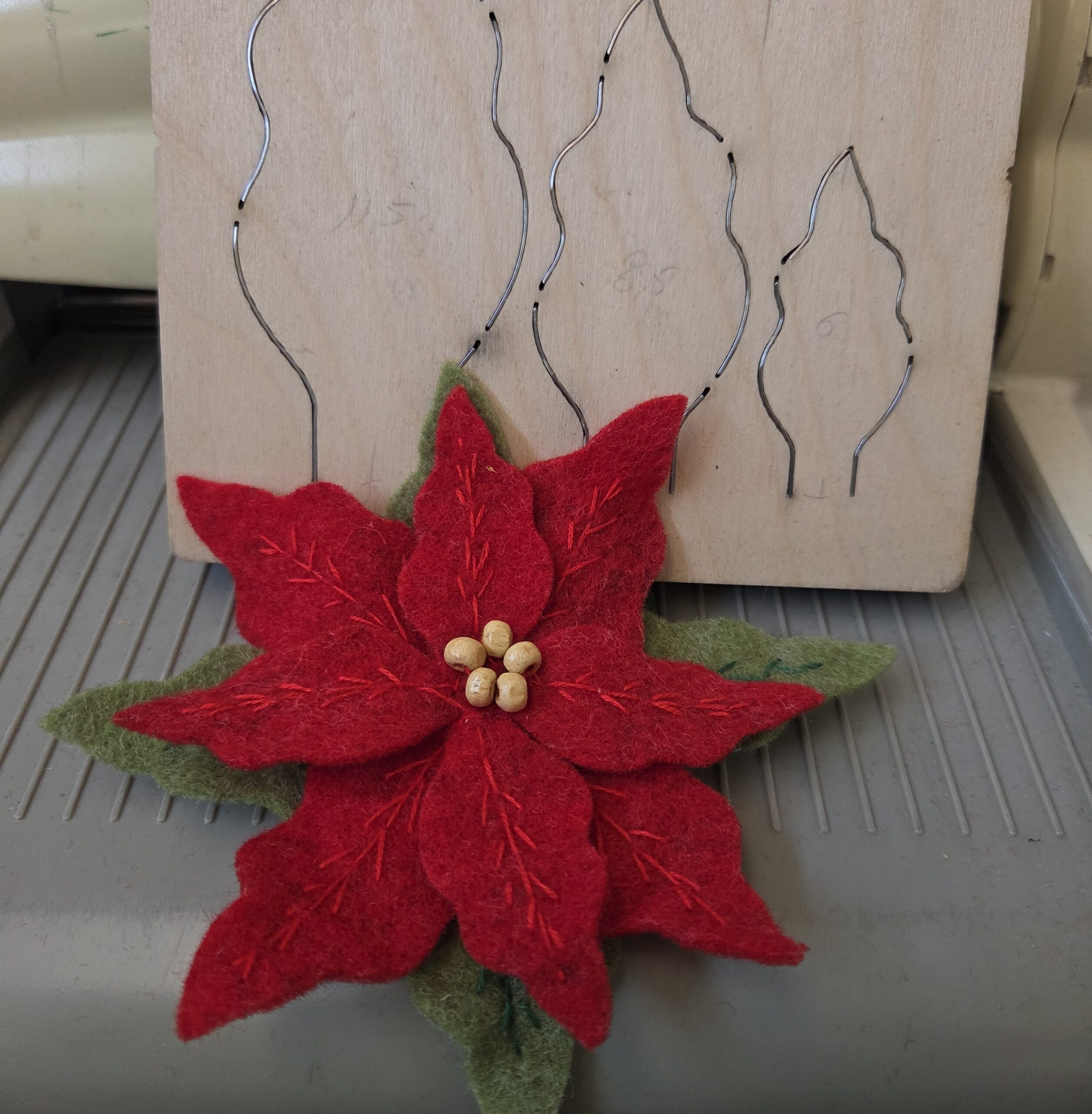 STELLA DI NATALE - immagine 8